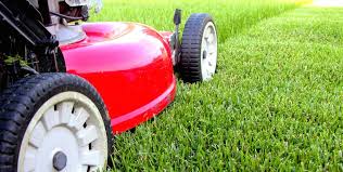 Tips For A Good Lawn